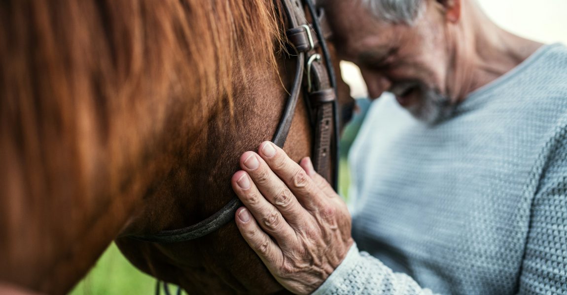 connecting to your horse