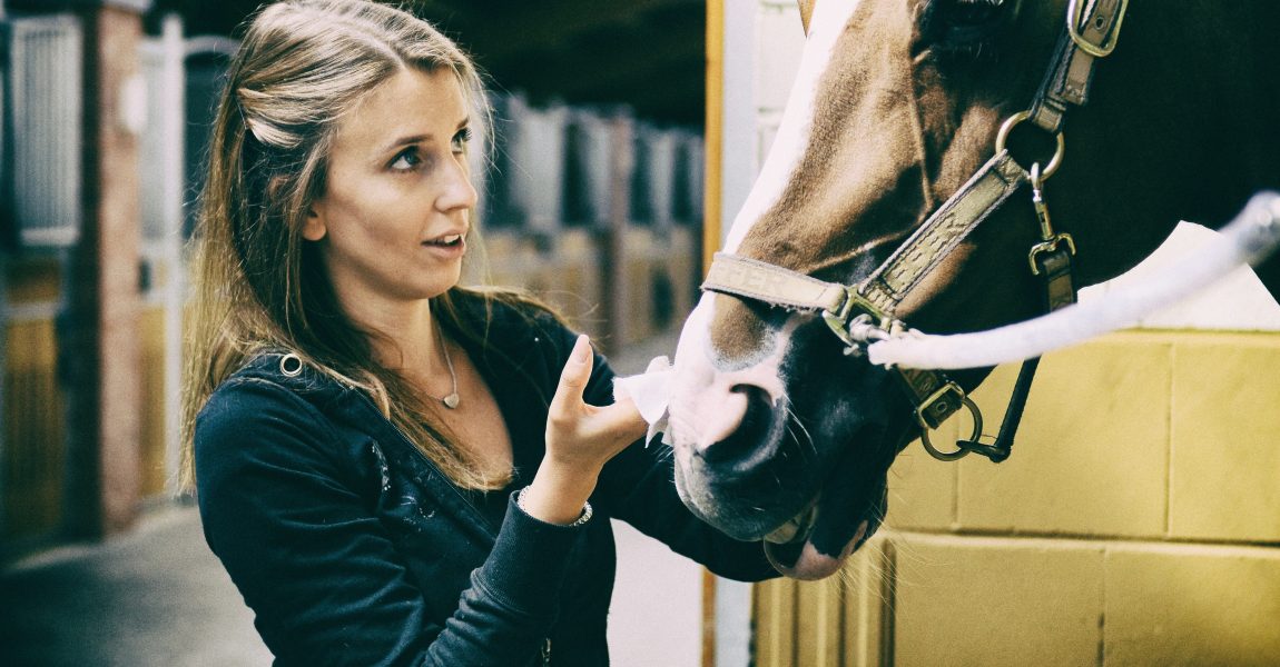 groomer holding her horse